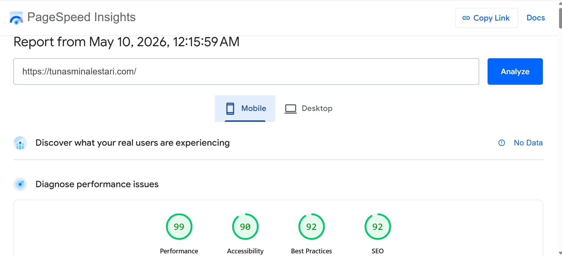 score pagespeed website karya digijala